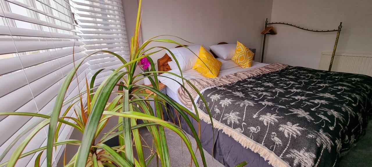 Hidden Gem Near The Beach With Pool Table New Quay Εξωτερικό φωτογραφία